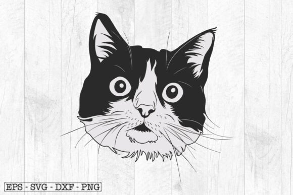 Cat Svg, Cat Clipart, Cat Cut File: A Designer’s Real-World Embroidery Review